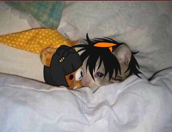 *Sad Narancia Noises*